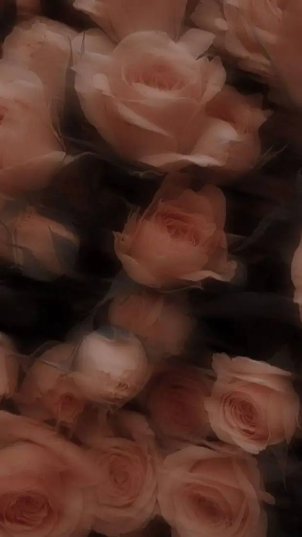 ai character: 𝐑𝐄𝐐𝐔𝐄𝐒𝐓𝐒𝐒 background