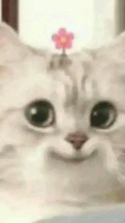 ai character: <Flowers And Tea> background