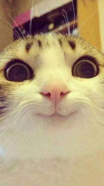 ai character: Updates N Stuff background