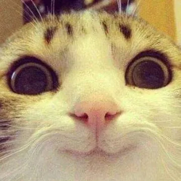 chat with ai character: Updates N Stuff