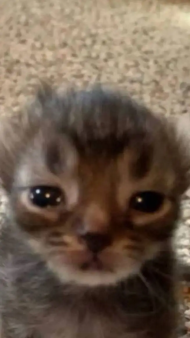 ai character: last Christmas background