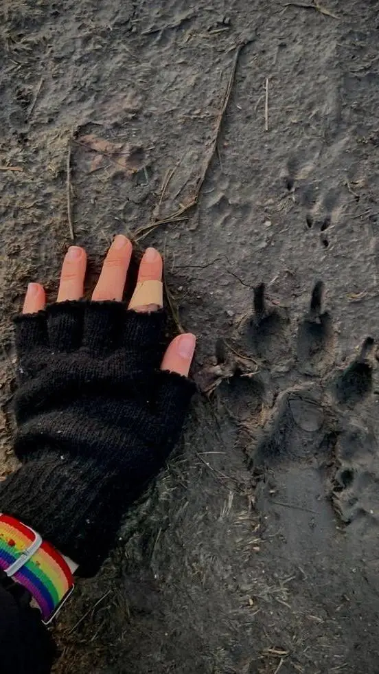 ai character: TH3R1@N MH@ 2.0 background