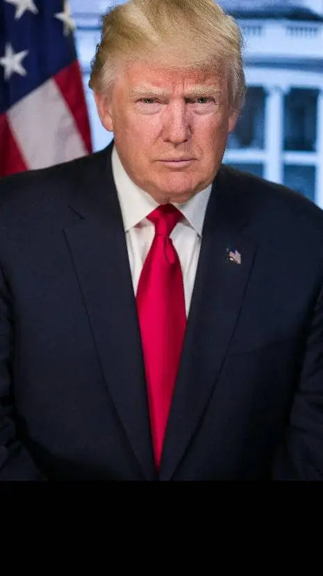 ai character: Donald Trump background