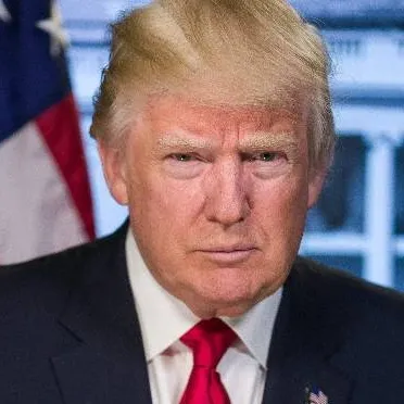 chat with ai character: Donald Trump