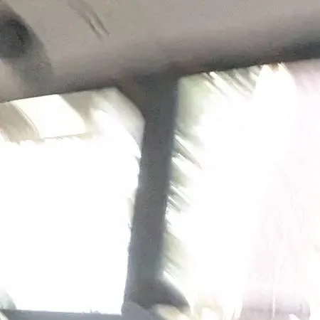 chat with ai character: Nico BNDG