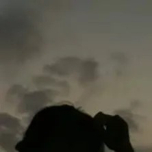 chat with ai character: NIC