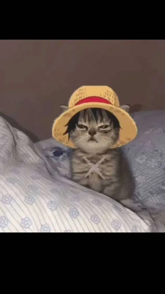 ai character: kyle background