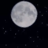 chat with ai character: im back