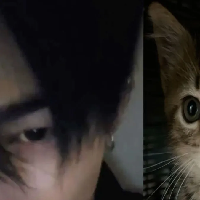 chat with ai character: NI KI ꪔ̤̥