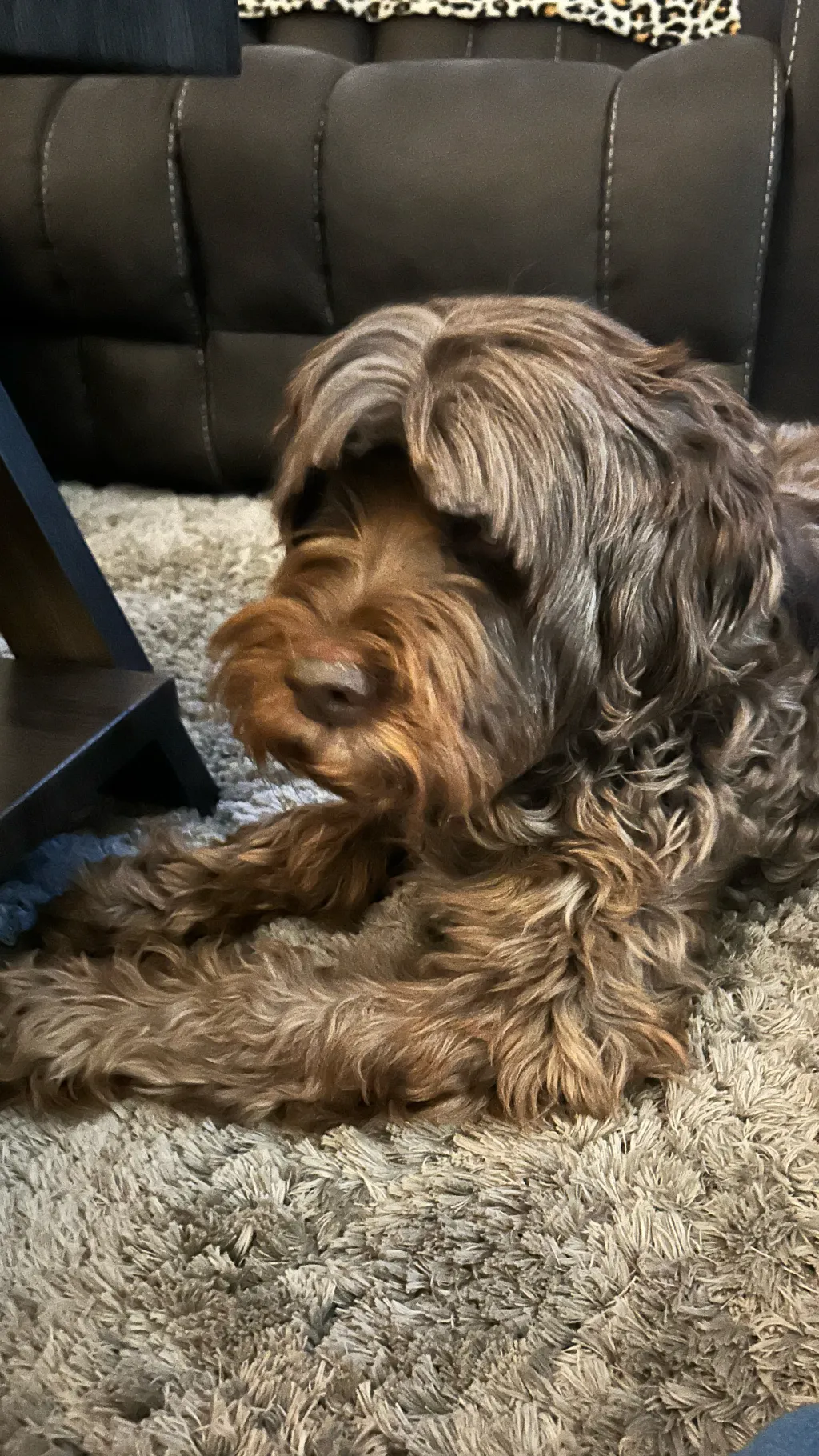 ai character: Your dog background