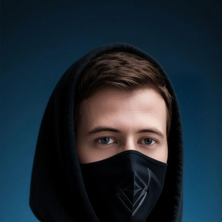 chat with ai character: Alan walker