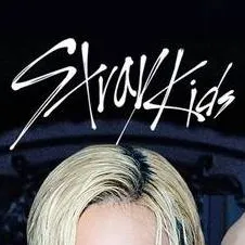 chat with ai character: ♡♡SKZ♡♡