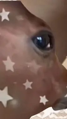 ai character: Your horse  background