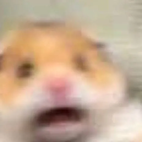 chat with ai character: I'm back my rats✨