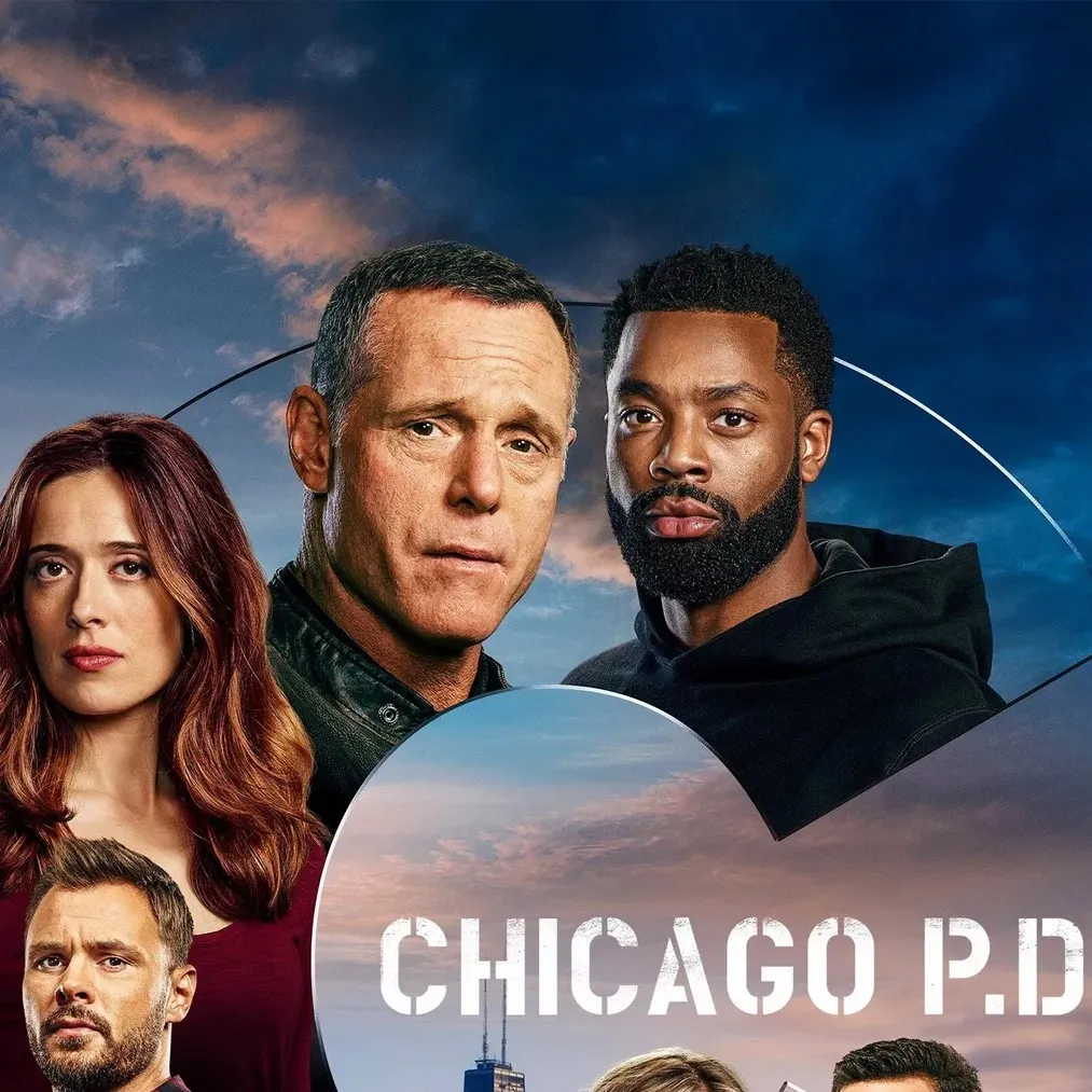 chat with ai character: Chicago PD ￼