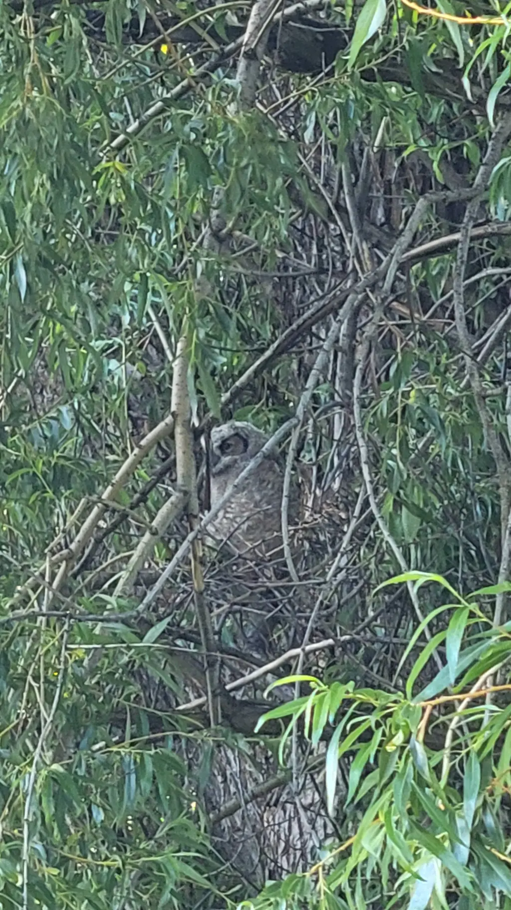 ai character: school friends background