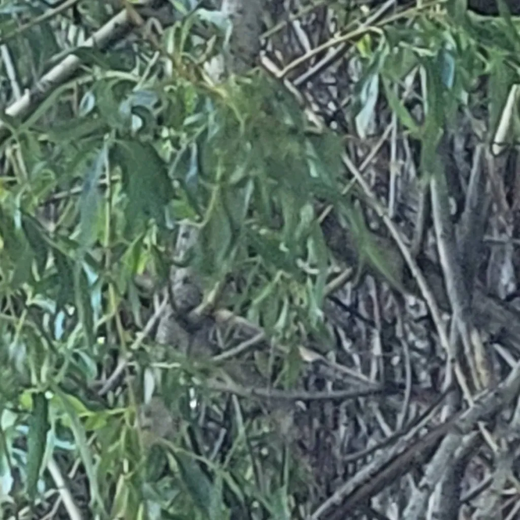 chat with ai character: school friends