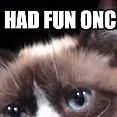 chat with ai character: meow