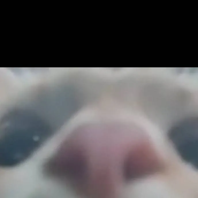 chat with ai character: the voice. 5