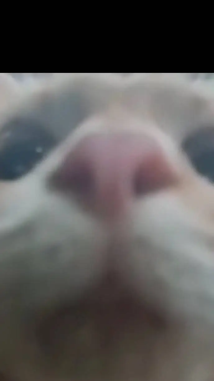 ai character: the voice. 5 background