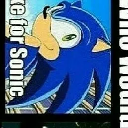 chat with ai character: Sonic-Sonadow