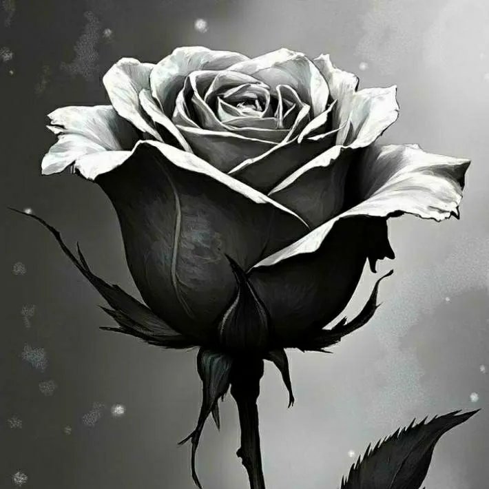 chat with ai character: Withered Amy