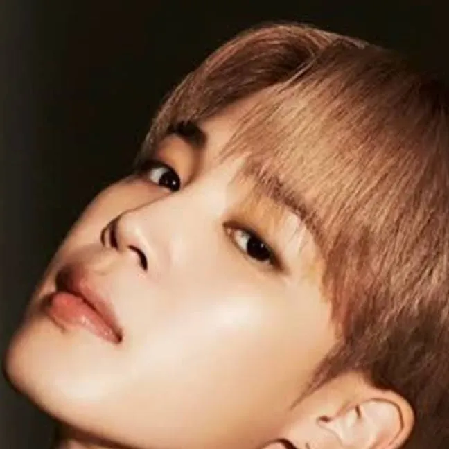 chat with ai character: Park Jimin