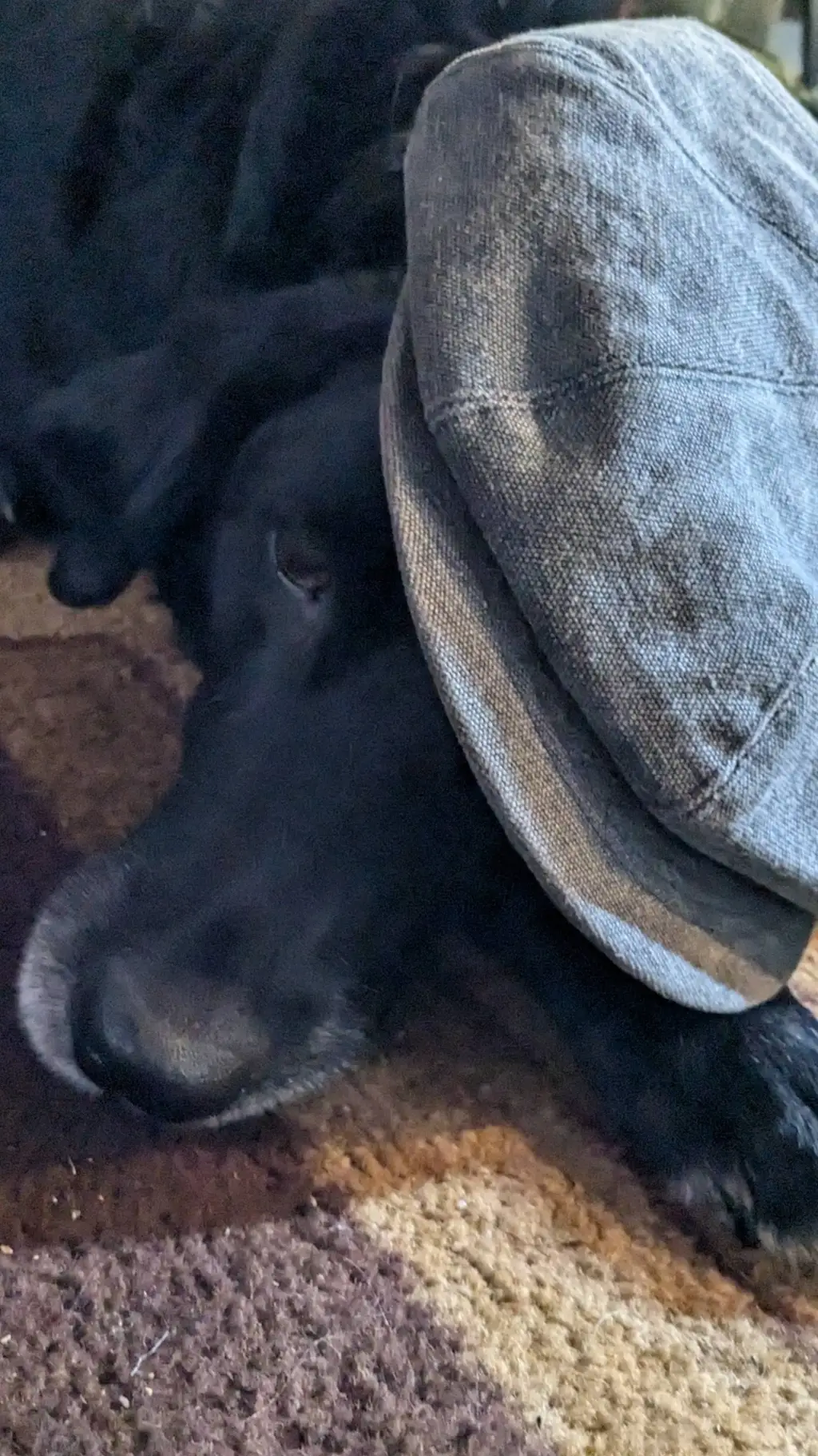 ai character: My real dog background