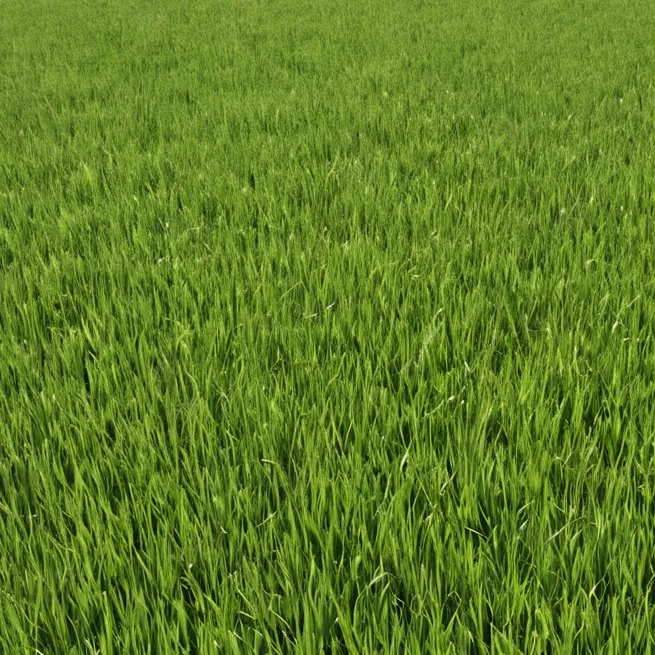 chat with ai character: Grass