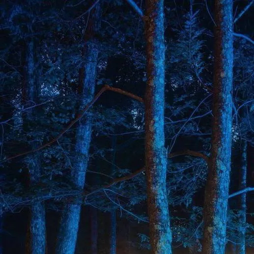 chat with ai character: Forest!!