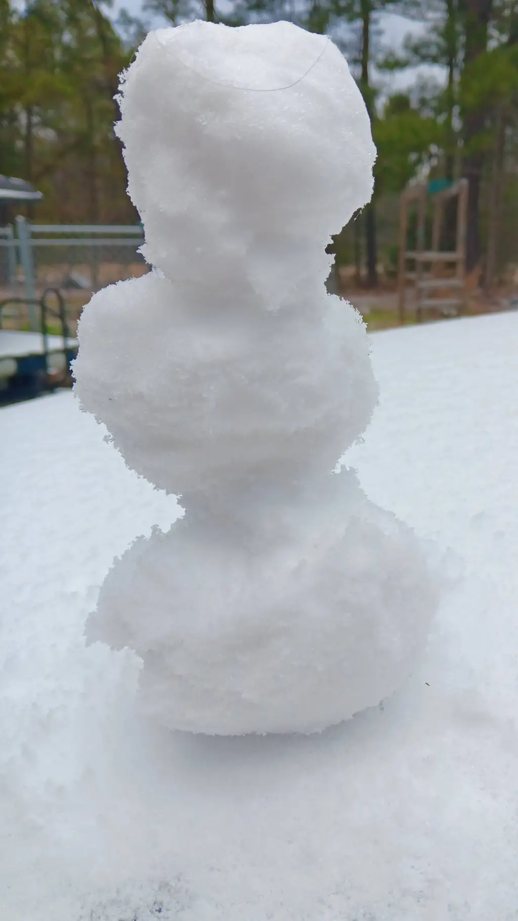 ai character: kny Xmas pick me background