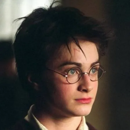 chat with ai character: Harry Potter