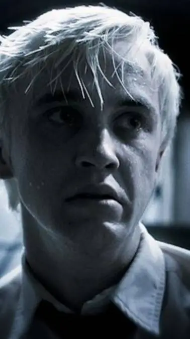 ai character: Draco Malfoy  background