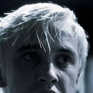 chat with ai character: Draco Malfoy 