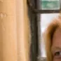 chat with ai character: Weasley twins