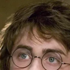 chat with ai character: Harry Potter