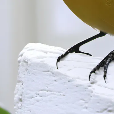 chat with ai character: Clan war