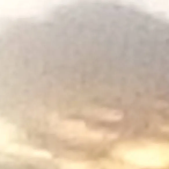 chat with ai character: wolf pack