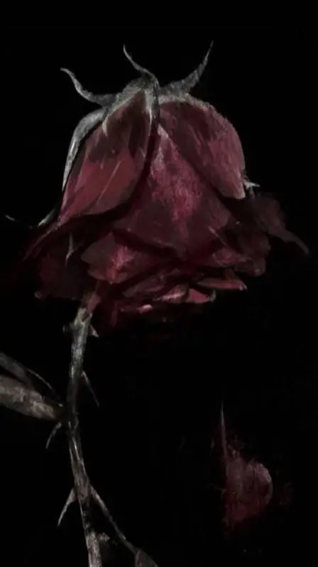 ai character: 𓆩𝓣𝓪𝓷𝓳𝓲𝓻𝓸𓆪 Death background