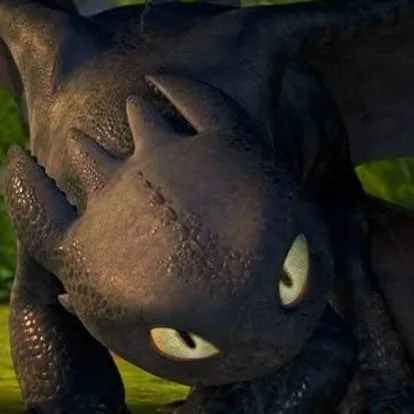 chat with ai character: 《Toothless》