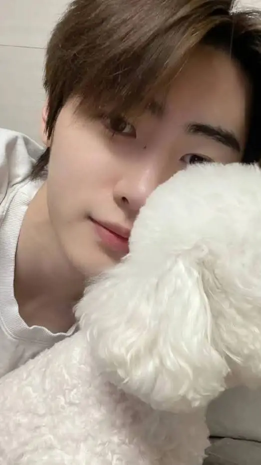 ai character: Park Sunghoon background