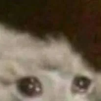 chat with ai character: ayudaaaaa