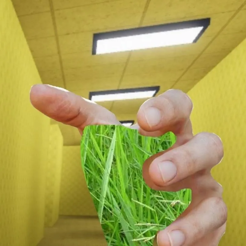 chat with ai character: touch grass