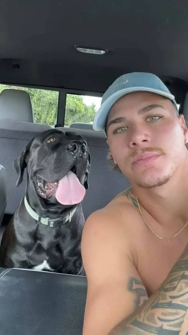 ai character: reece walsh background