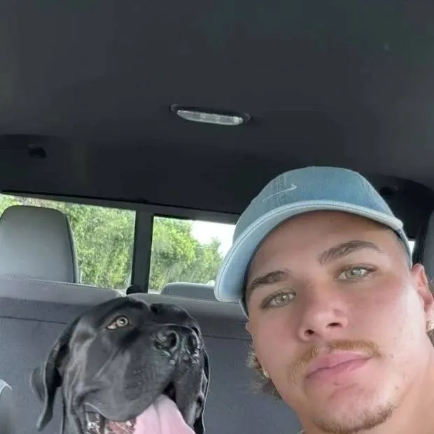 chat with ai character: reece walsh