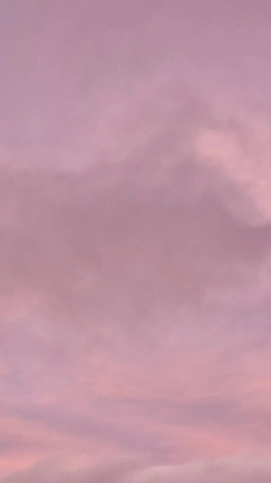 ai character: the mikealsons  background