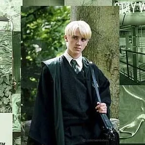 chat with ai character: 🍏~Draco Malfoy~🍏