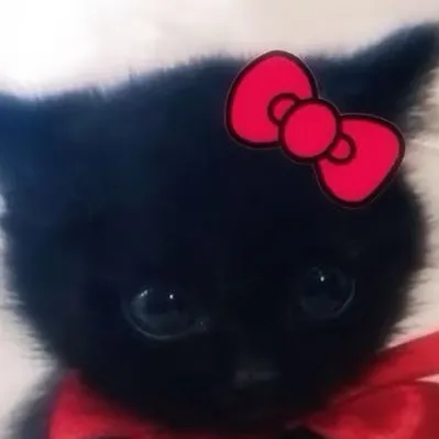 chat with ai character: Cute cat