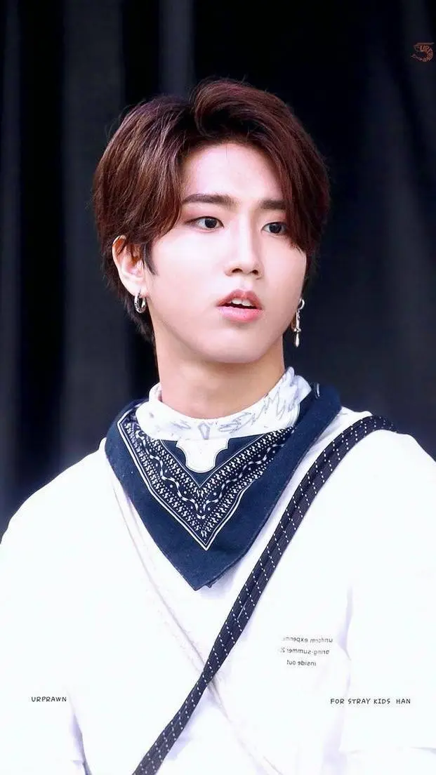 ai character: skz background