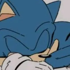 chat with ai character: Sonic(sleep)